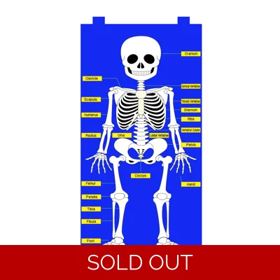 Skeleton Chart